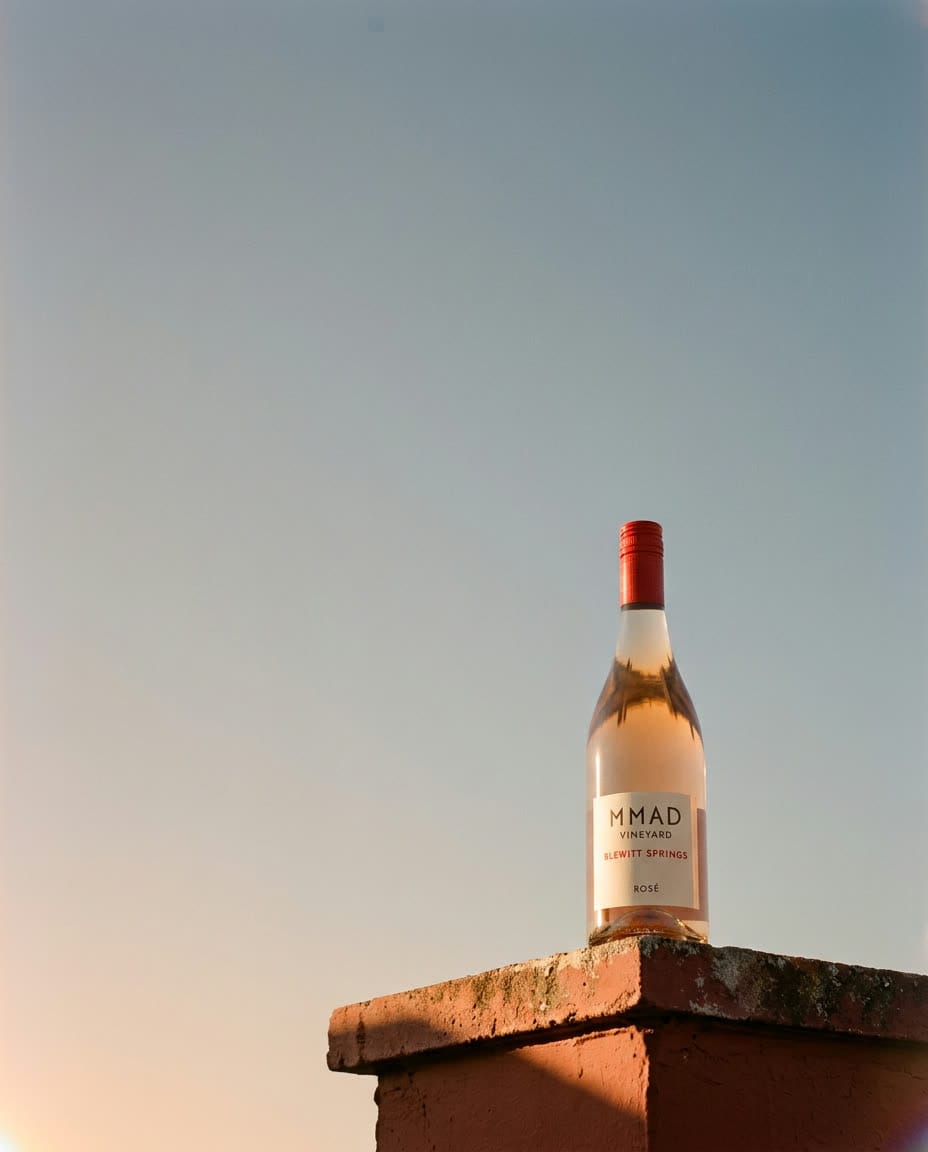 Couple with the bottle against the sky