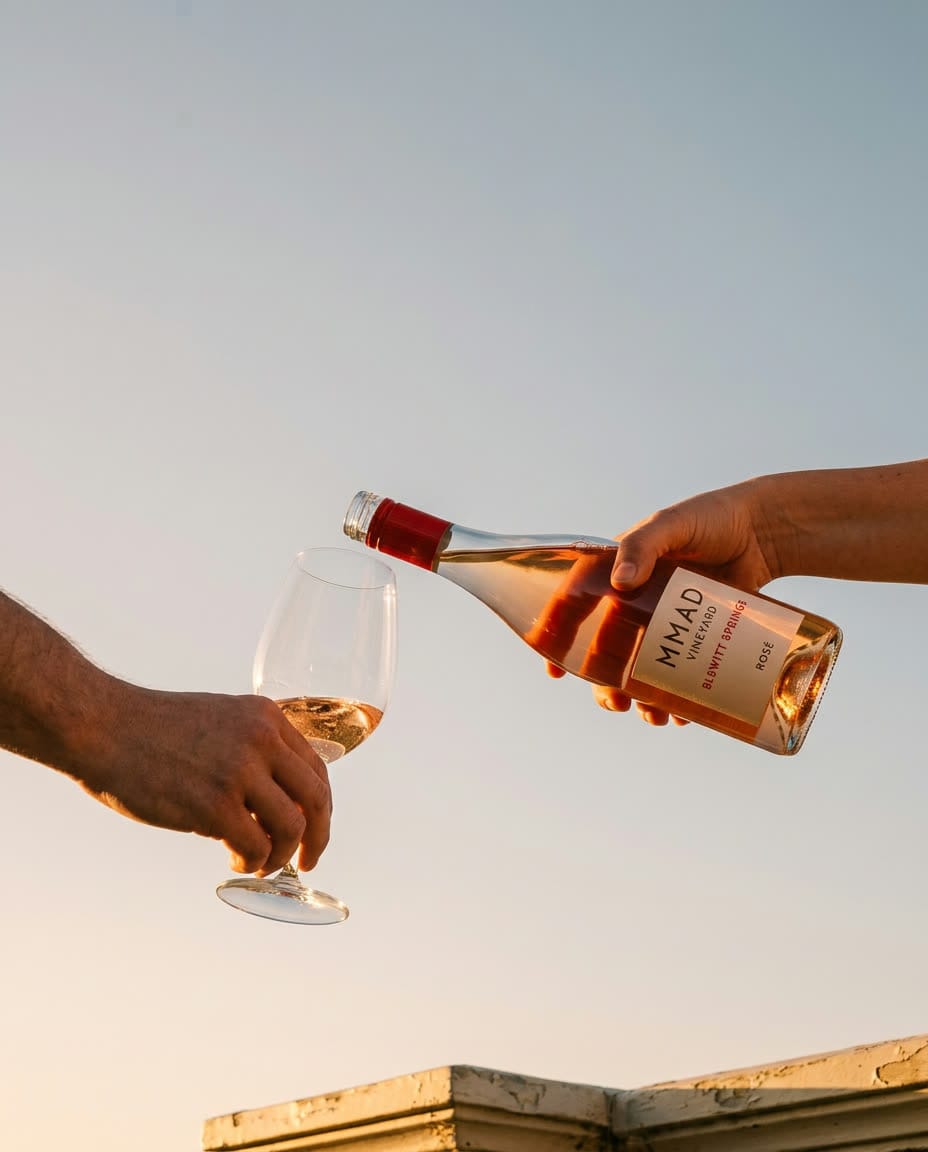 Friends toasting on the sand